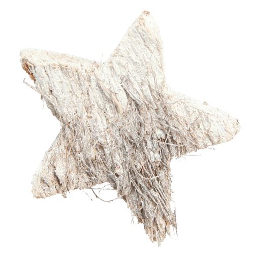 Artículo Decoración Estrella de Coco Estrellas de Coco Blanco Lavado 5cm 30uds