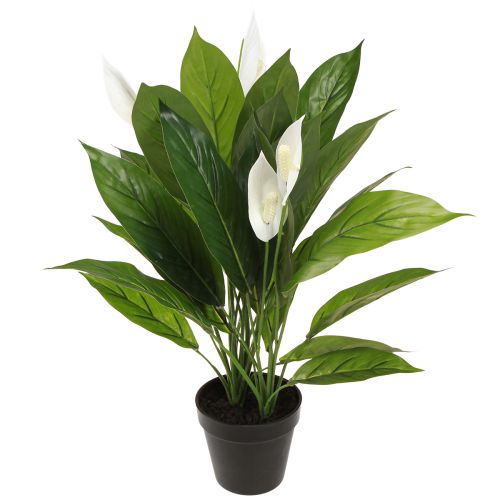 Floristik24 Planta artificial en maceta de una sola hoja, lirio de la paz, verde, blanco, 55 cm