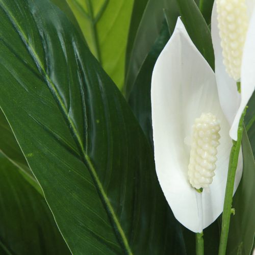 Artículo Planta artificial en maceta de una sola hoja, lirio de la paz, verde, blanco, 55 cm