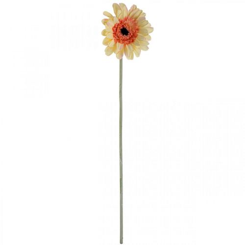 Artículo Gerbera artificial flor artificial albaricoque Ø11cm L50cm