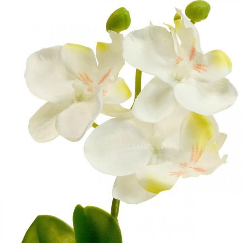 Orquideas artificiales Flor artificial orquidea blanca  20cm-08318