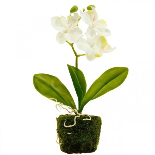 Orquideas artificiales Flor artificial orquidea blanca  20cm-08318