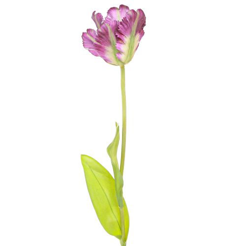 Floristik24 Flor artificial tulipán loro tulipán decorativo artificial violeta 63cm