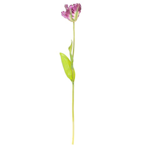 Artículo Flor artificial tulipán loro tulipán decorativo artificial violeta 63cm