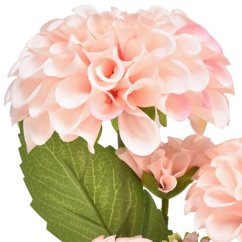 Artículo Dalia Artificial Flores Artificiales Rosa Con 5 Flores 50cm