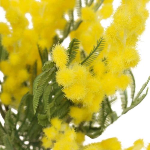 Floristik24 Planta artificial, acacia plateada, deco amarillo mimosa, 39cm 3ud