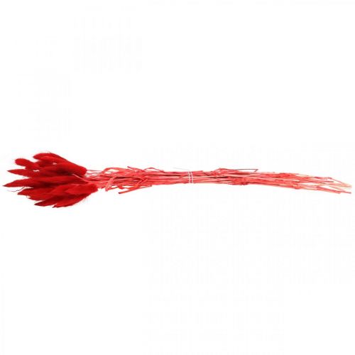 Artículo Hierba decorativa roja, lagurus, hierba aterciopelada, floristería seca L30–50cm 20g