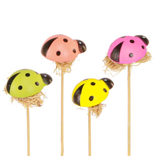 Floristik24 Tapones florales decorativos Ladybug color madera 3,5 cm 24 piezas