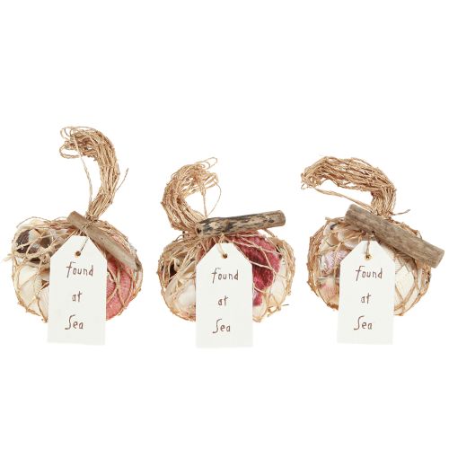 Artículo Conchas decorativas marítimas mezcladas en la red coloridas 3,5-6 cm 300 g × 3 piezas