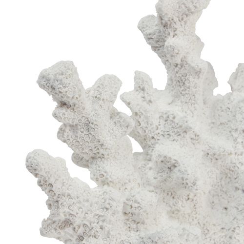 Floristik24 Decoración marítima coral poliresina blanco 18,5×26cm