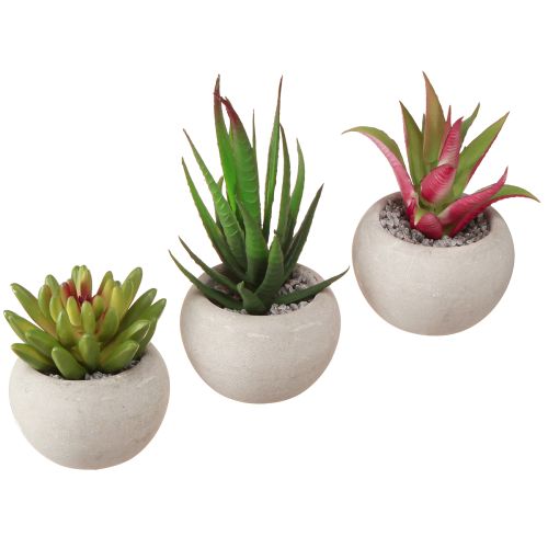 Floristik24 Mini Suculentas en Maceta Plantas Artificiales Decoración Ø6.5cm 6uds