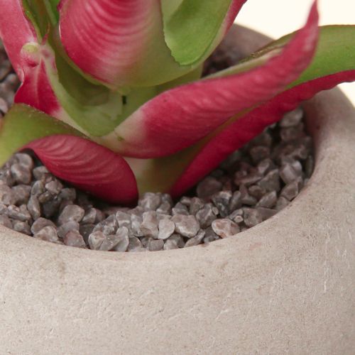 Artículo Mini Suculentas en Maceta Plantas Artificiales Decoración Ø6.5cm 6uds