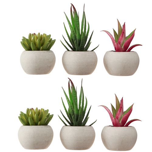 Artículo Mini Suculentas en Maceta Plantas Artificiales Decoración Ø6.5cm 6uds