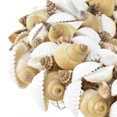 Artículo Corona de conchas decoración colgante marítima coco blanco natural Ø25cm