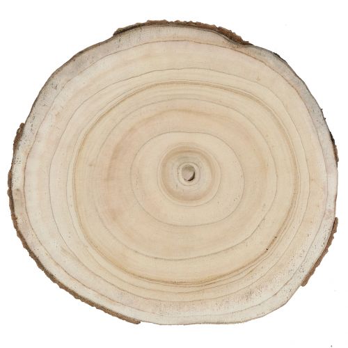 Artículo Rodaja de arbol campanilla natural Ø30-35cm 1ud