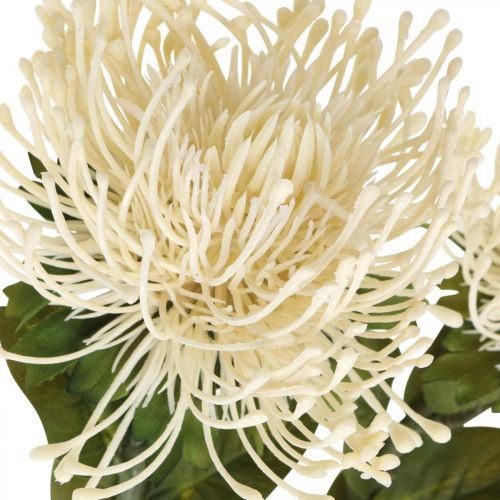 Artículo Alfiletero flores artificiales exóticas Protea Leucospermum crema 73cm 3ud