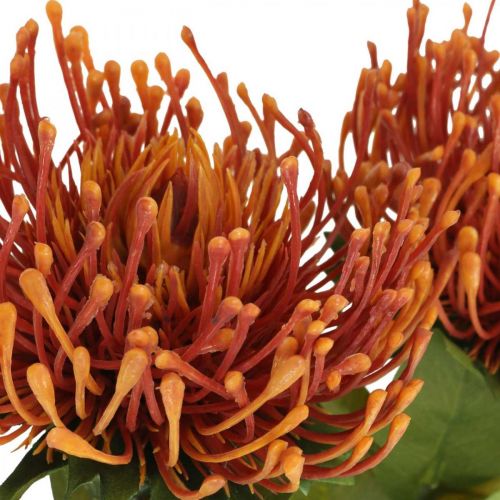 Artículo Acerico Flor Artificial Exótica Naranja Leucospermum Protea 73cm 3pcs