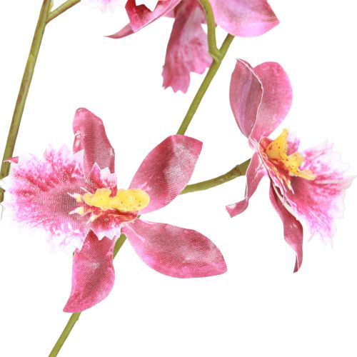 Artículo Oncidium Orquídeas Artificiales Decoración Rosa Violeta 93cm 2uds