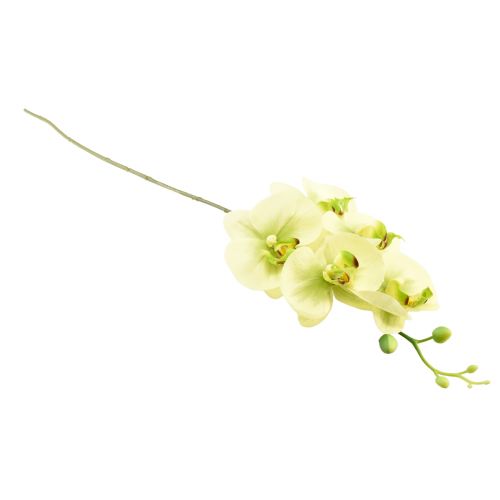 Artículo Orquídea Artificial Phalaenopsis Verde Amarillo 85cm