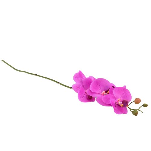 Artículo Orquídea artificial Phalaenopsis Orquídea Rosa 78cm