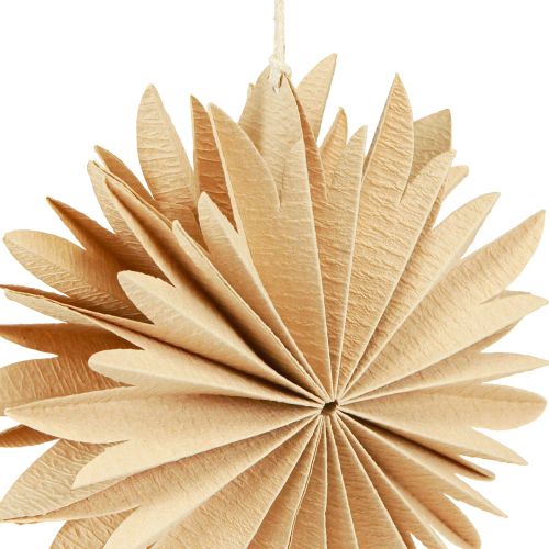 Artículo Estrellas de papel para colgar adornos para árboles blanco natural 16cm 6 piezas