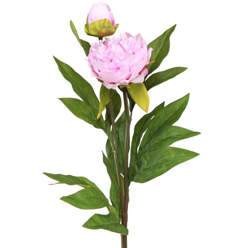 Peonía flores artificiales rosa con tallo largo 70cm 3ud