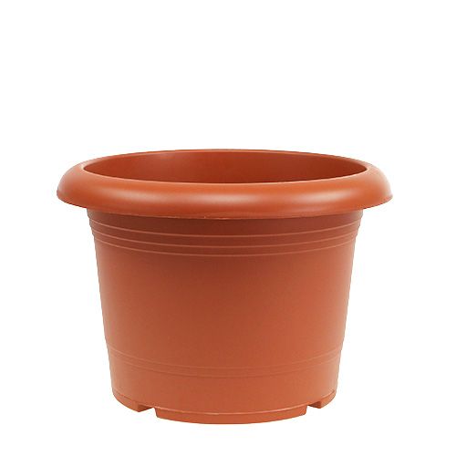 Floristik24 Maceta “Oliver” terracota Ø25cm