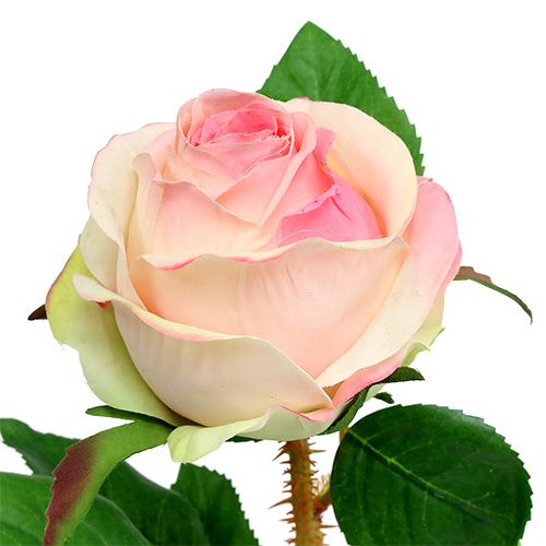 Artículo Rosa artificial rosa crema Ø9cm L45cm 1 pieza