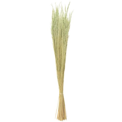 Artículo Hierba Doblada Agrostis Capillaris Hierbas Secas Verde 65cm 80g