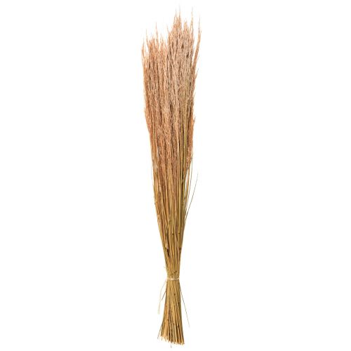 Artículo Hierba Doblada Roja Agrostis Hierba Seca Rojo Marrón 65cm 80g