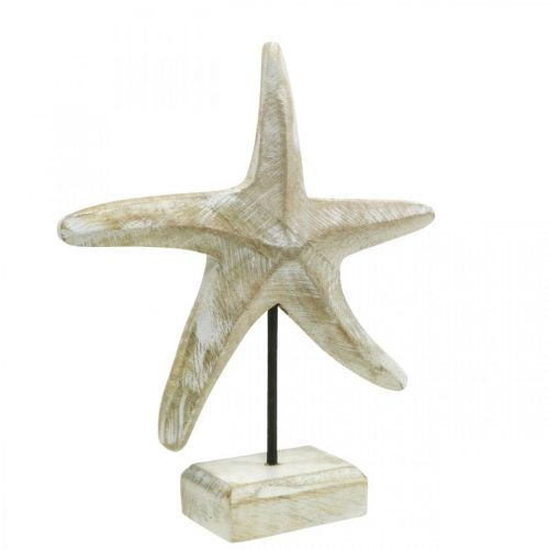 2 piezas estrellas de mar secas naturales, artesanía de playa, fiesta de  boda, decoración del hogar