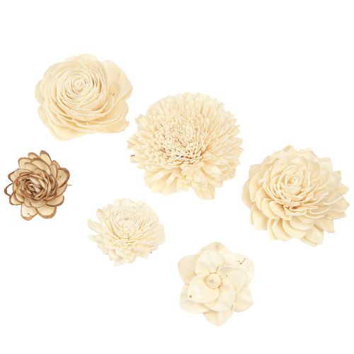 Floristik24 Sola Flowers Wood Flores de madera Decoración Mix Crema 6-11cm 12-15 piezas