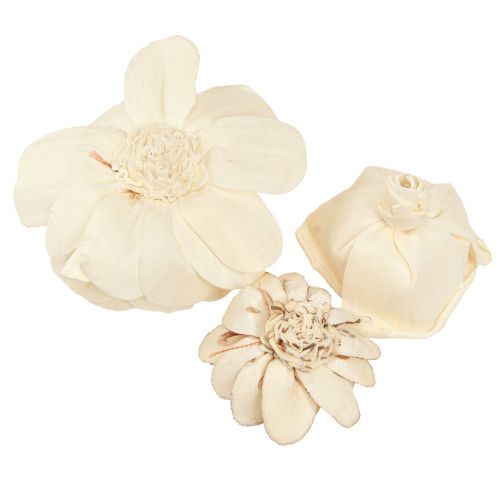 Artículo Sola Flowers Wood Flores de madera Decoración Mix Crema 6-11cm 12-15 piezas