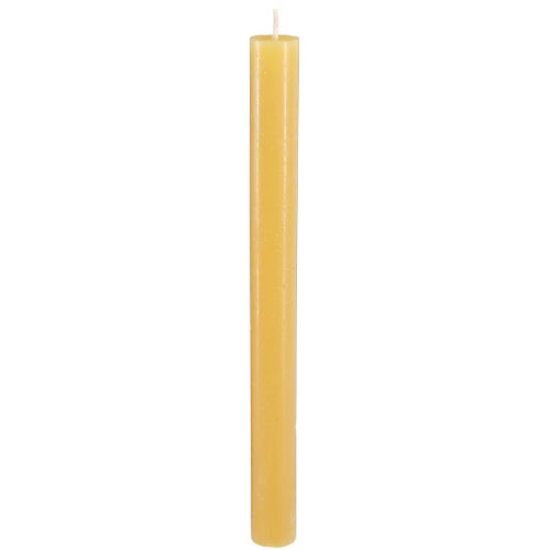 Floristik24 Velas cónicas velas lisas miel 21×240mm 12uds