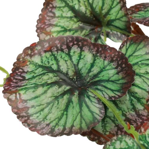 Artículo Guirnalda decorativa de saxífraga artificial verde Saxifraga 152cm