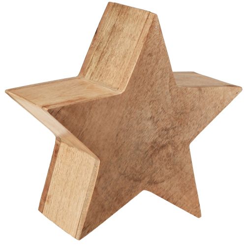 Floristik24 Estrella decorativa mesa de madera decoración mango madera de pie natural Ø24cm