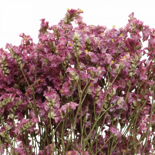 Floristik24 Statice, lavanda marina, flor seca, ramo de flores silvestres rosa L52cm 23g