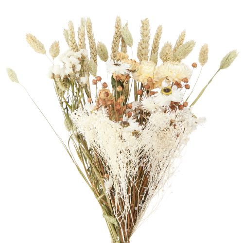 Ramo de flores secas flores de paja grano blanco 55cm