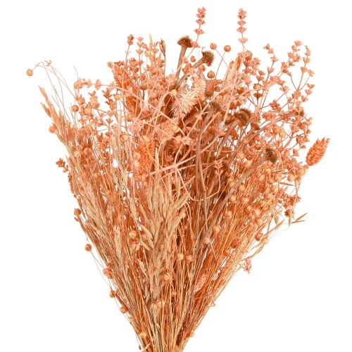 Floristik24 Ramo de flores secas naranja albaricoque ramo seco 45cm 80g