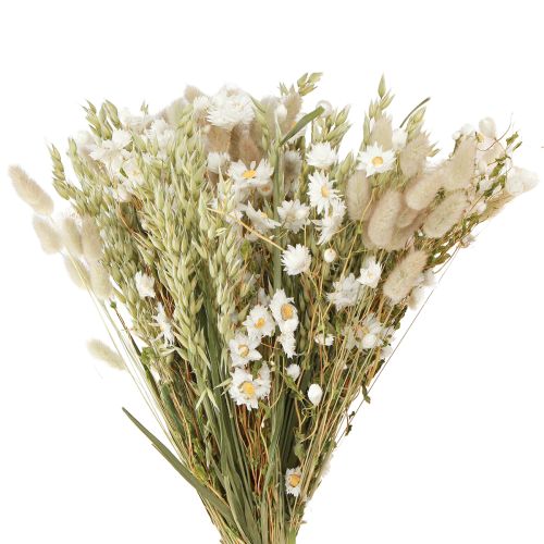 Ramo de flores secas flores blancas paja avena Lagurus 55cm