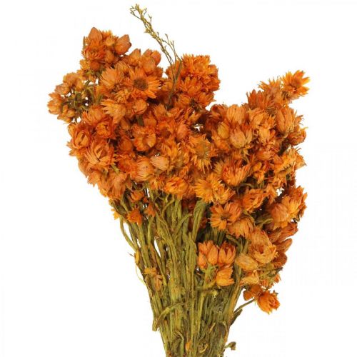 Flores de Paja Flores Secas Naranja Pequeñas 15g-69794