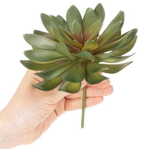 Artículo Suculenta artificial como planta decorativa, verde, 18 cm, 3 unidades