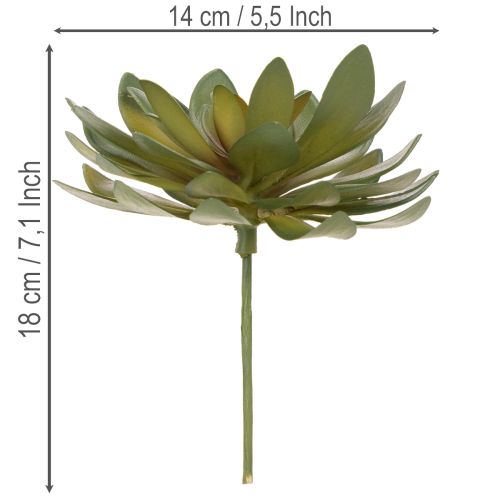 Artículo Suculenta artificial como planta decorativa, verde, 18 cm, 3 unidades