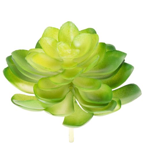Artículo Planta suculenta artificial, verde, para decoración en cuenco o jarrón, 10 cm, 4 unidades.