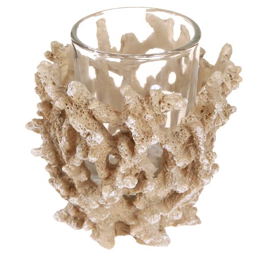 Artículo Portavelas decoración coral crema marítima marrón H9cm 2ud