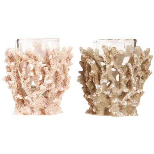 Artículo Portavelas decoración coral crema marítima marrón H9cm 2ud