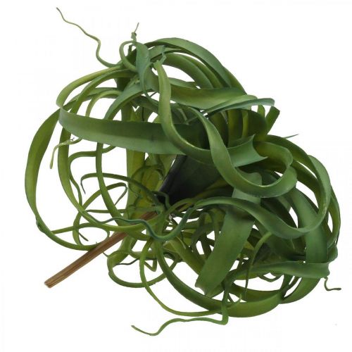 Artículo Tillandsia Planta verde artificial para pegar Verde Grande Ø40cm