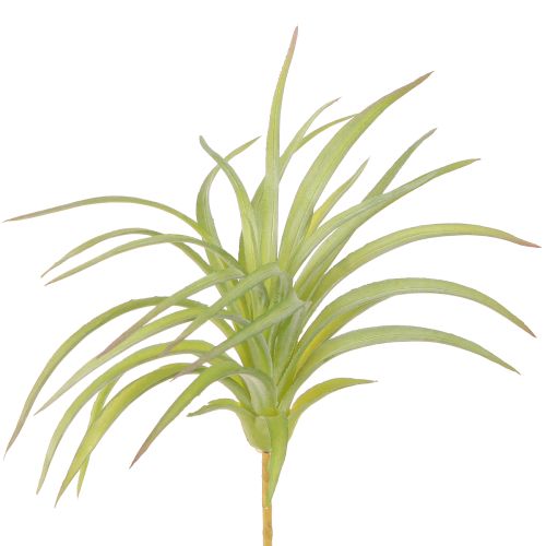 Plantas Artificiales Tillandsia Verde con Palo Ø17cm 3uds