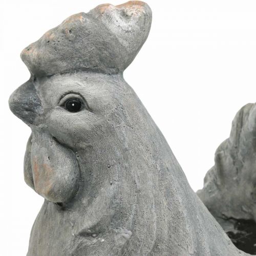 Artículo Pollo para plantar, decoración de Pascua, maceta, primavera, pollo decorativo aspecto cemento H30cm