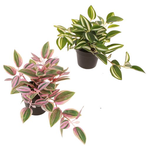 Tradescantia Planta verde artificial en maceta Al19,5cm 2uds